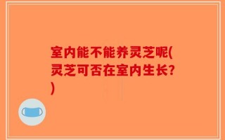 室内能不能养灵芝呢(灵芝可否在室内生长？)