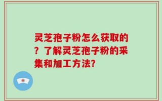 灵芝孢子粉怎么获取的？了解灵芝孢子粉的采集和加工方法？