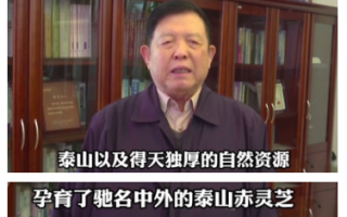 长白山灵芝孢子粉真的有用吗,灵芝孢子粉哪里的最正宗