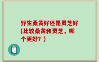 野生桑黄好还是灵芝好(比较桑黄和灵芝，哪个更好？)
