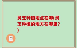 灵芝种植地点在哪(灵芝种植的地方在哪里？)