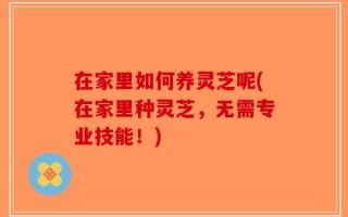 在家里如何养灵芝呢(在家里种灵芝，无需专业技能！)
