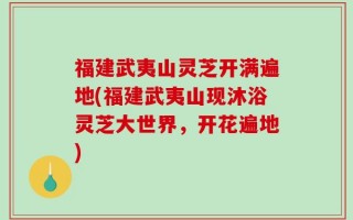 福建武夷山灵芝开满遍地(福建武夷山现沐浴灵芝大世界，开花遍地)
