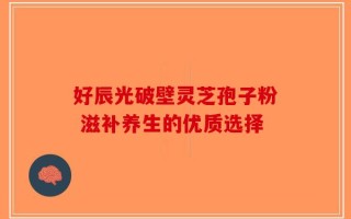 好辰光破壁灵芝孢子粉 滋补养生的优质选择