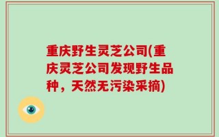 重庆野生灵芝公司(重庆灵芝公司发现野生品种，天然无污染采摘)