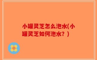 小罐灵芝怎么泡水(小罐灵芝如何泡水？)