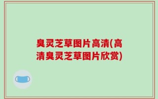 臭灵芝草图片高清(高清臭灵芝草图片欣赏)