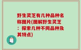 野生灵芝有几种品种名称图片(图解野生灵芝：探索几种不同品种及其特点)