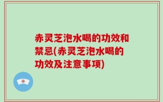 赤灵芝泡水喝的功效和禁忌(赤灵芝泡水喝的功效及注意事项)
