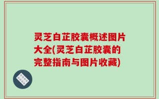 灵芝白芷胶囊概述图片大全(灵芝白芷胶囊的完整指南与图片收藏)
