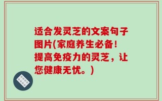 适合发灵芝的文案句子图片(家庭养生必备！提高免疫力的灵芝，让您健康无忧。)