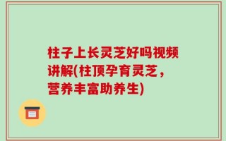 柱子上长灵芝好吗视频讲解(柱顶孕育灵芝，营养丰富助养生)