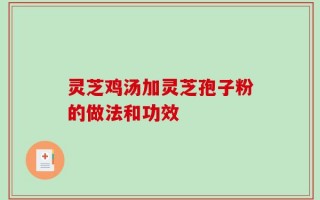 灵芝鸡汤加灵芝孢子粉的做法和功效