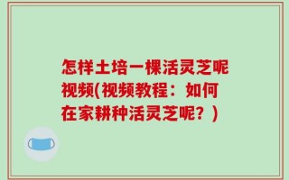 怎样土培一棵活灵芝呢视频(视频教程：如何在家耕种活灵芝呢？)