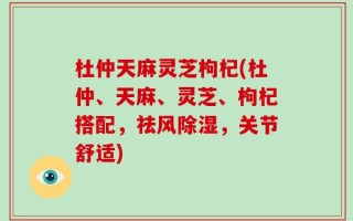 杜仲天麻灵芝枸杞(杜仲、天麻、灵芝、枸杞搭配，祛风除湿，关节舒适)