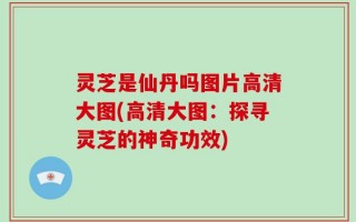 灵芝是仙丹吗图片高清大图(高清大图：探寻灵芝的神奇功效)