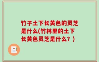竹子土下长黄色的灵芝是什么(竹林里的土下长黄色灵芝是什么？)