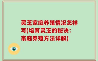 灵芝家庭养殖情况怎样写(培育灵芝的秘诀：家庭养殖方法详解)