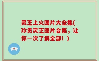 灵芝上火图片大全集(珍贵灵芝图片合集，让你一次了解全部！)