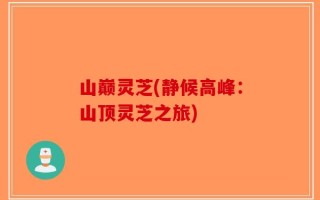 山巅灵芝(静候高峰：山顶灵芝之旅)