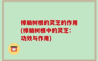樟脑树根的灵芝的作用(樟脑树根中的灵芝：功效与作用)