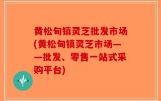 黄松甸镇灵芝批发市场(黄松甸镇灵芝市场——批发、零售一站式采购平台)