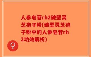 人参皂苷rh2破壁灵芝孢子粉(破壁灵芝孢子粉中的人参皂苷rh2功效解析)