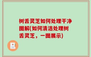 树舌灵芝如何处理干净图解(如何清洁处理树舌灵芝，一图展示)