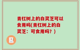 青杠树上的白灵芝可以食用吗(青杠树上的白灵芝：可食用吗？)