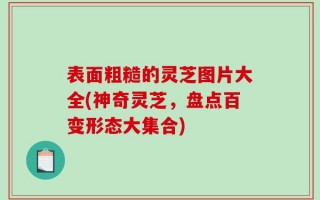 表面粗糙的灵芝图片大全(神奇灵芝，盘点百变形态大集合)