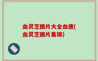 血灵芝图片大全血唐(血灵芝图片集锦)