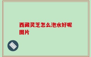 西藏灵芝怎么泡水好呢图片