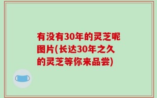 有没有30年的灵芝呢图片(长达30年之久的灵芝等你来品尝)