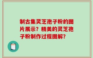 制古集灵芝孢子粉的图片展示？精美的灵芝孢子粉制作过程图解？