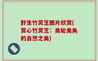 野生竹灵芝图片欣赏(赏心竹灵芝：美轮美奂的自然之美)