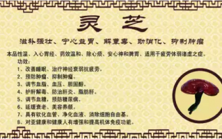 灵芝孢子粉的功效有哪些？99%的人吃错了！
