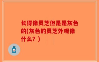 长得像灵芝但是是灰色的(灰色的灵芝外观像什么？)