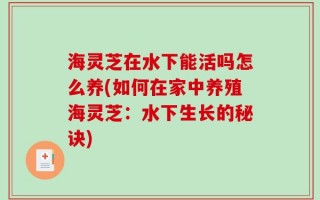 海灵芝在水下能活吗怎么养(如何在家中养殖海灵芝：水下生长的秘诀)
