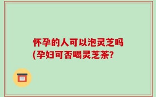 怀孕的人可以泡灵芝吗(孕妇可否喝灵芝茶？