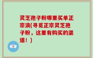 灵芝孢子粉哪里买单正宗滴(寻觅正宗灵芝孢子粉，这里有购买的渠道！)