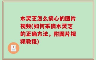 木灵芝怎么摘心的图片视频(如何采摘木灵芝的正确方法，附图片视频教程)