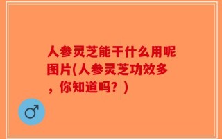 人参灵芝能干什么用呢图片(人参灵芝功效多，你知道吗？)