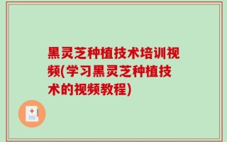 黑灵芝种植技术培训视频(学习黑灵芝种植技术的视频教程)