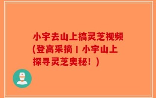 小宇去山上搞灵芝视频(登高采摘丨小宇山上探寻灵芝奥秘！)