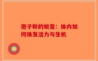 孢子粉的蜕变：体内如何焕发活力与生机