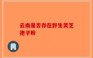 云南是否存在野生灵芝孢子粉