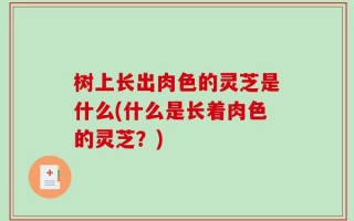 树上长出肉色的灵芝是什么(什么是长着肉色的灵芝？)