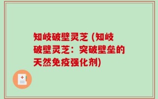 知岐破壁灵芝 (知岐破壁灵芝：突破壁垒的天然免疫强化剂)