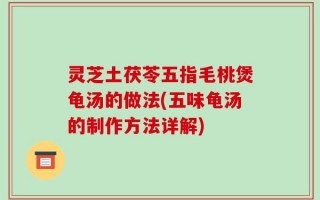 灵芝土茯苓五指毛桃煲龟汤的做法(五味龟汤的制作方法详解)