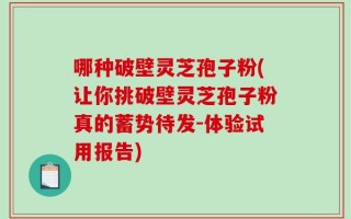 哪种破壁灵芝孢子粉(让你挑破壁灵芝孢子粉真的蓄势待发-体验试用报告)